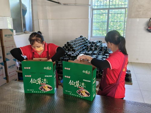 年順食品廠 守護(hù)贛南餐桌安全，共筑健康生活新未來(lái)